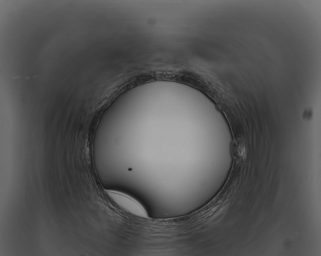 X0000091731252200708241035