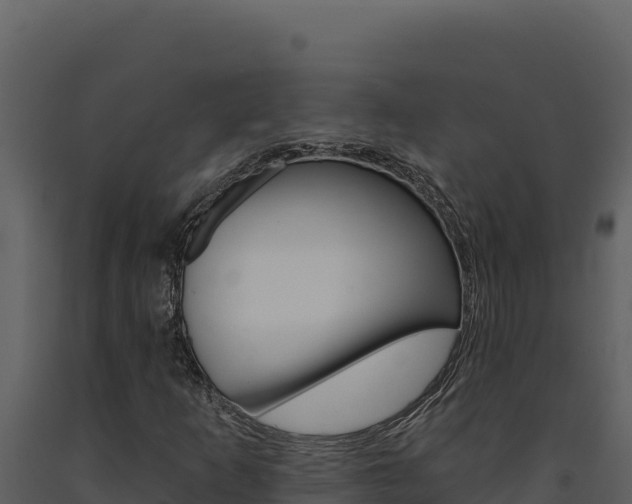 X0000091731253200708241035