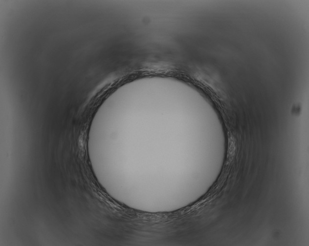 X0000091731254200708241035