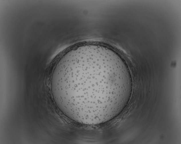 X0000091731255200708241035