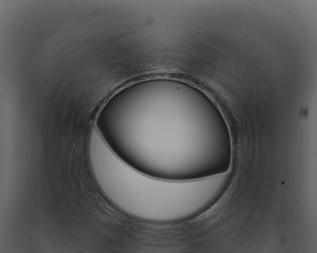 X0000091731257200708241035