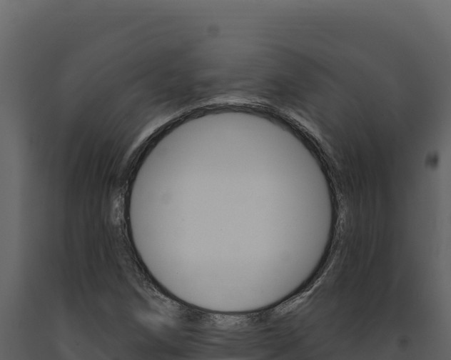 X0000091731258200708241035