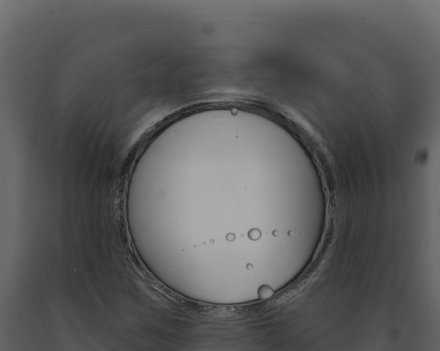 X0000091731259200708241035