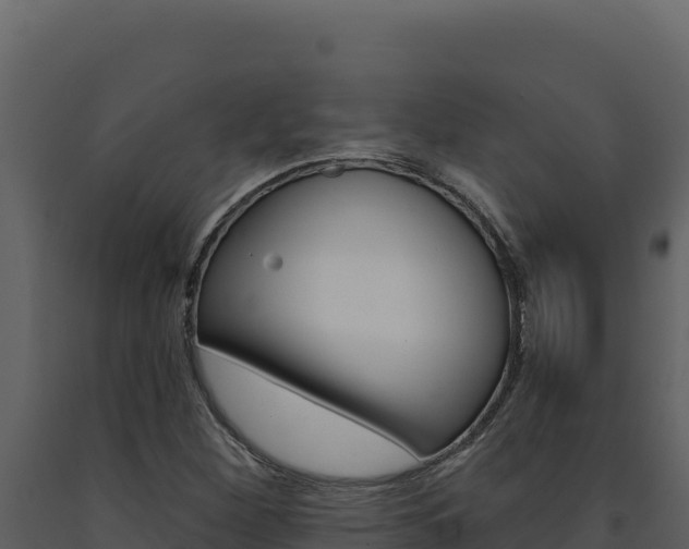 X0000091731260200708241035
