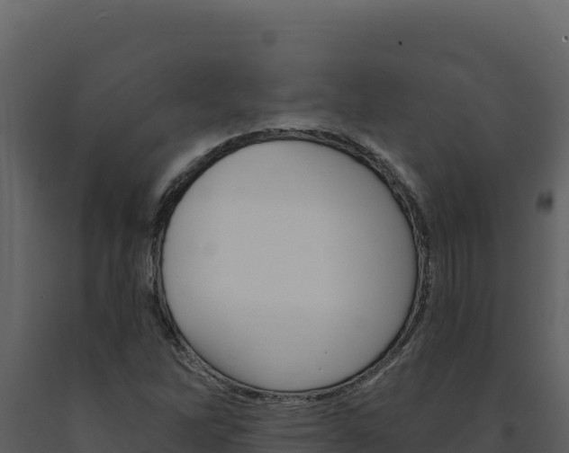 X0000091731262200708241035