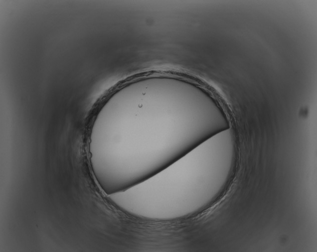 X0000091731263200708241035