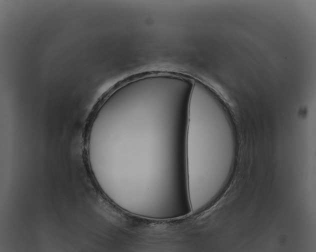 X0000091731264200708241035