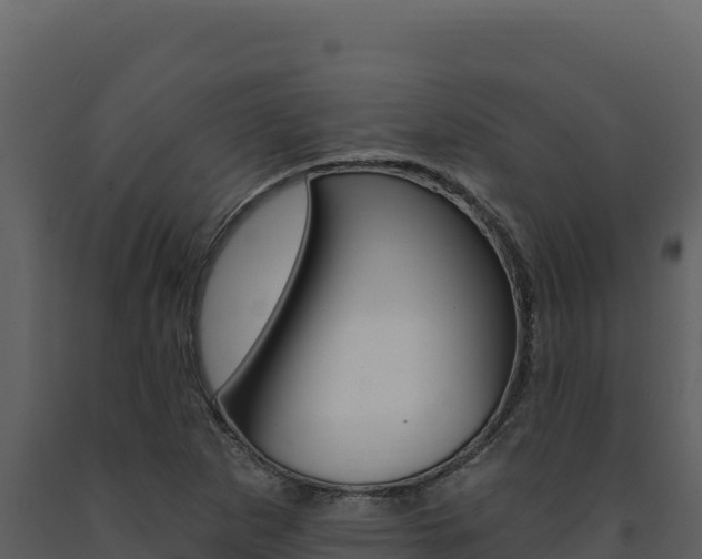 X0000091731265200708241035