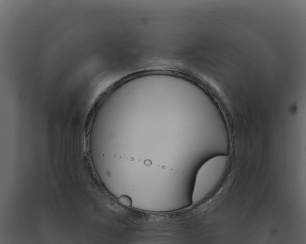 X0000091731267200708241035