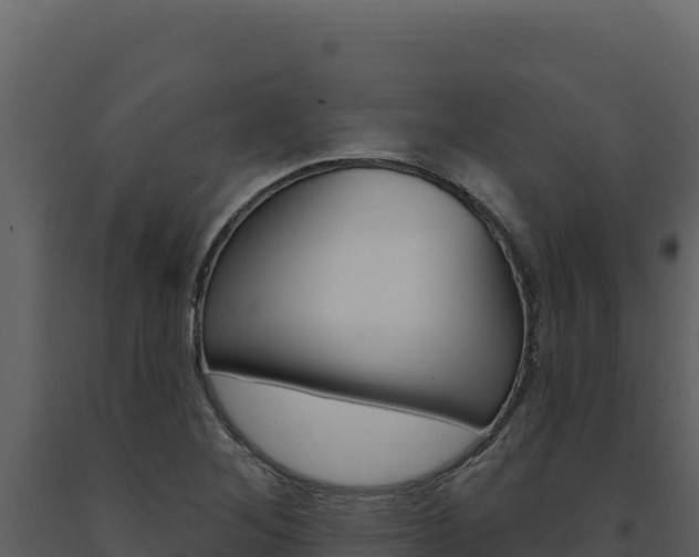 X0000091731268200708241035