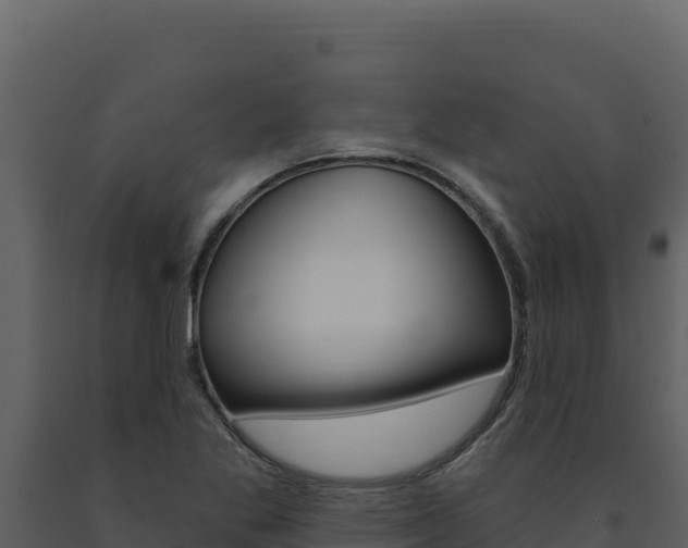 X0000091731269200708241035