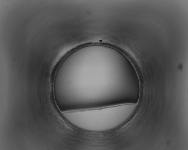 X0000091731270200708241035