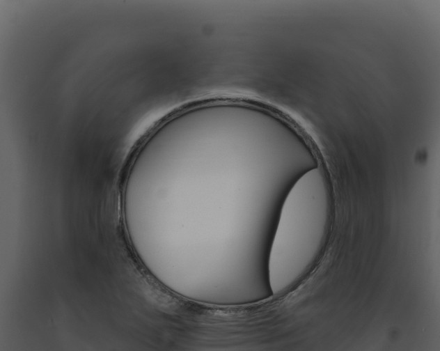 X0000091731271200708241035