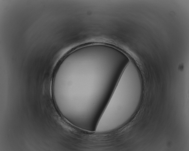 X0000091731272200708241035