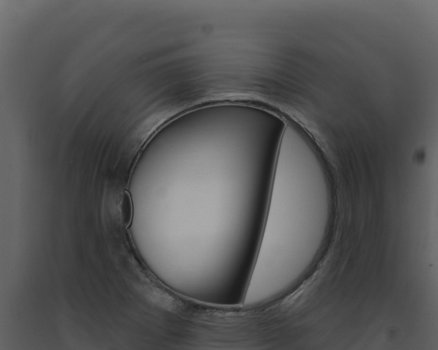 X0000091731273200708241035