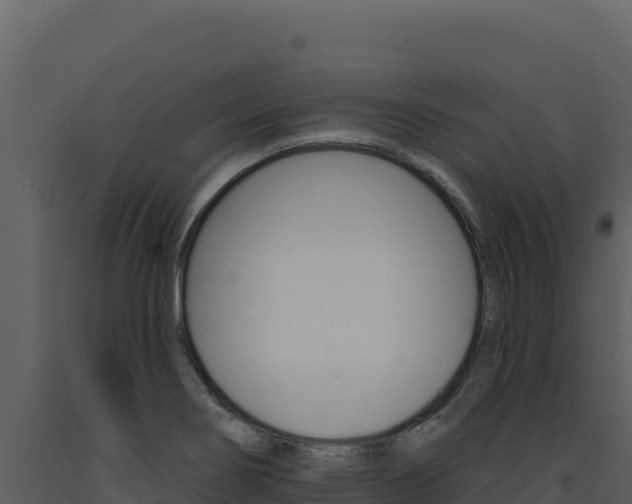 X0000091731274200708241035