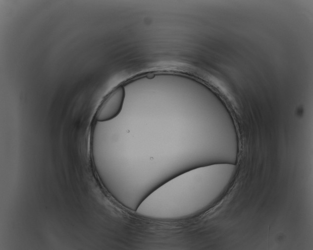 X0000091731275200708241035