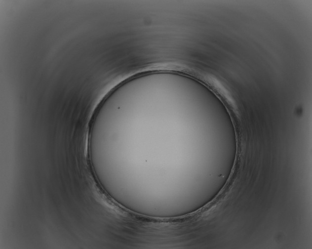 X0000091731276200708241035