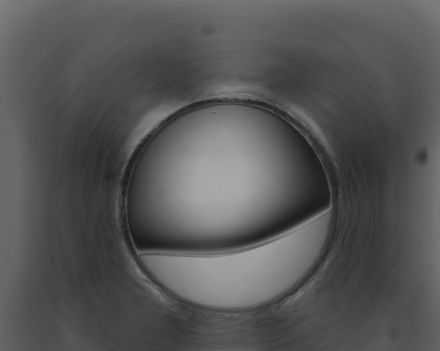 X0000091731277200708241035