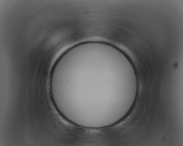 X0000091731278200708241035