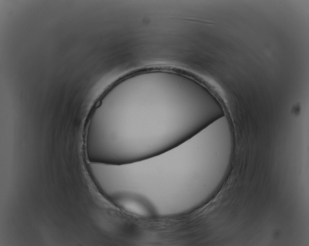 X0000091731279200708241035