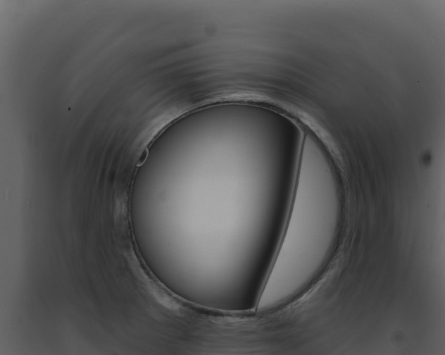 X0000091731281200708241035