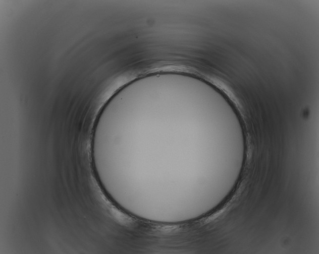 X0000091731282200708241035