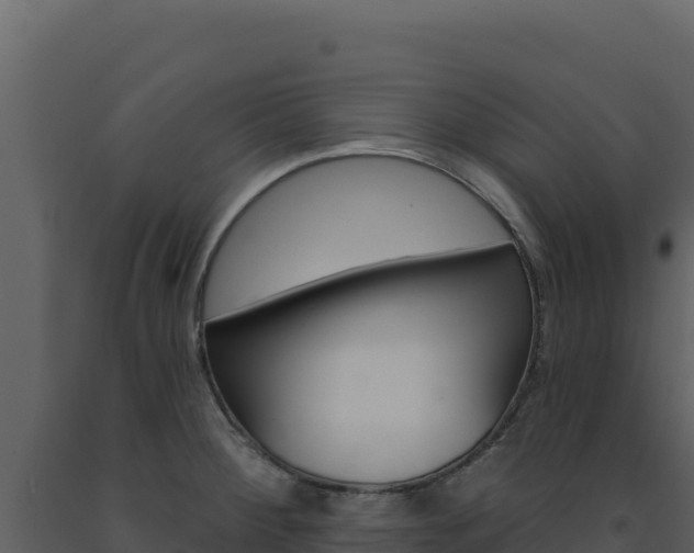 X0000091731284200708241035