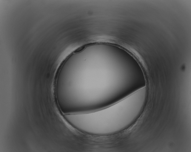X0000091731285200708241035