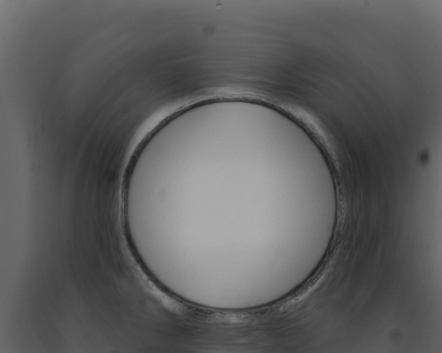 X0000091731286200708241035