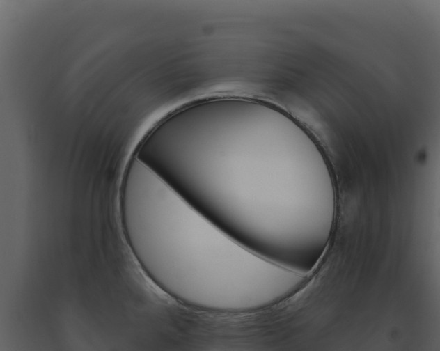 X0000091731288200708241035