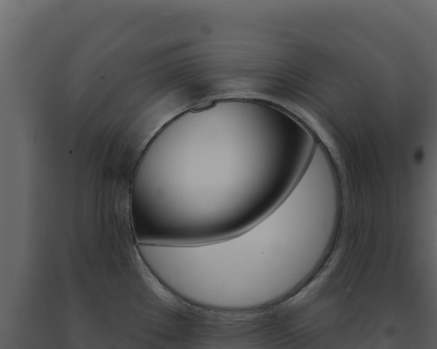X0000091731289200708241035
