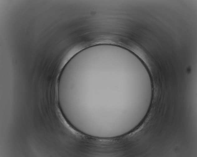 X0000091731290200708241035