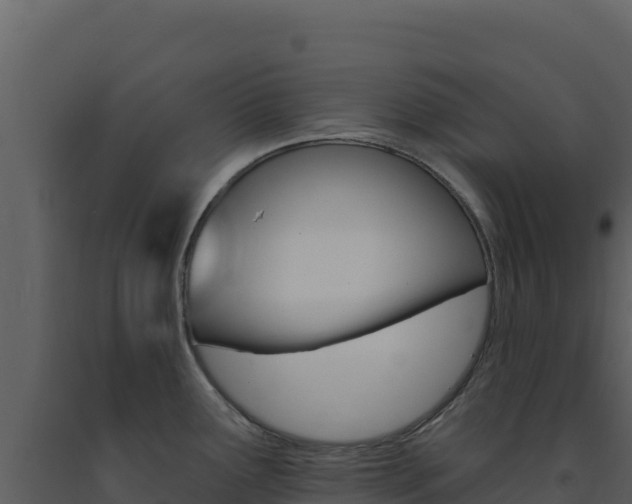 X0000091731291200708241035