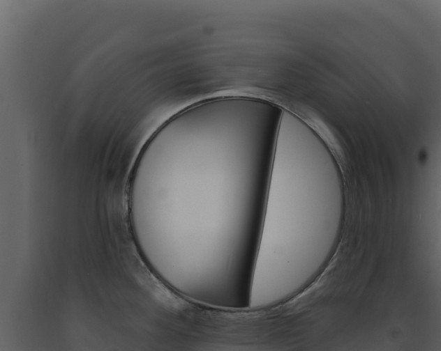 X0000091731292200708241035