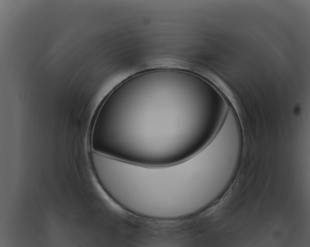 X0000091731293200708241035