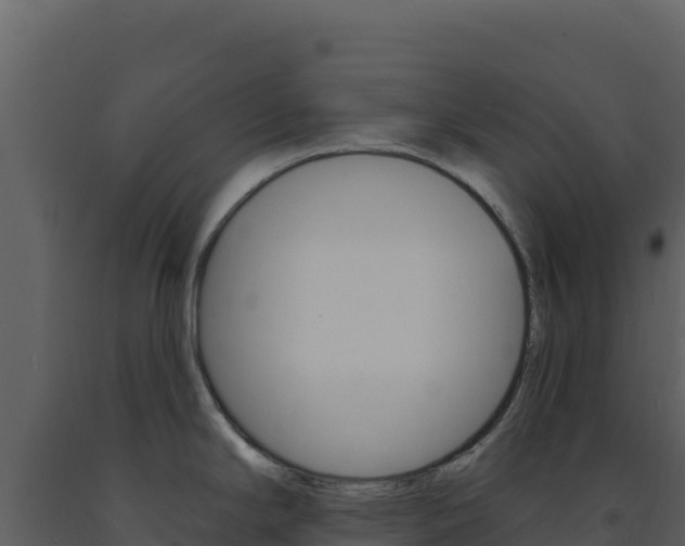 X0000091731294200708241035