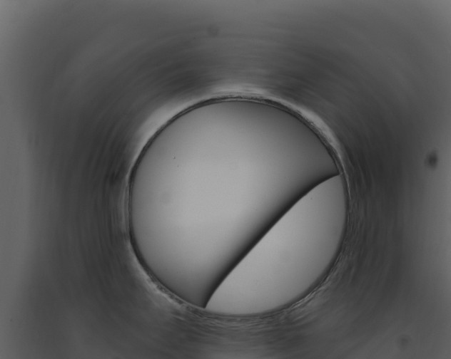 X0000091731295200708241035