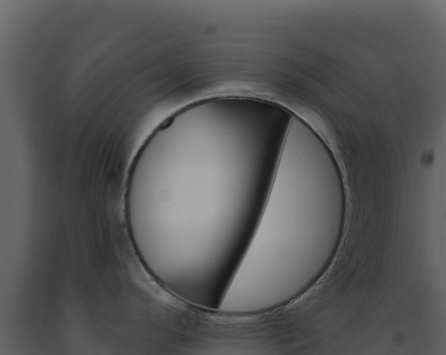 X0000091731296200708241035