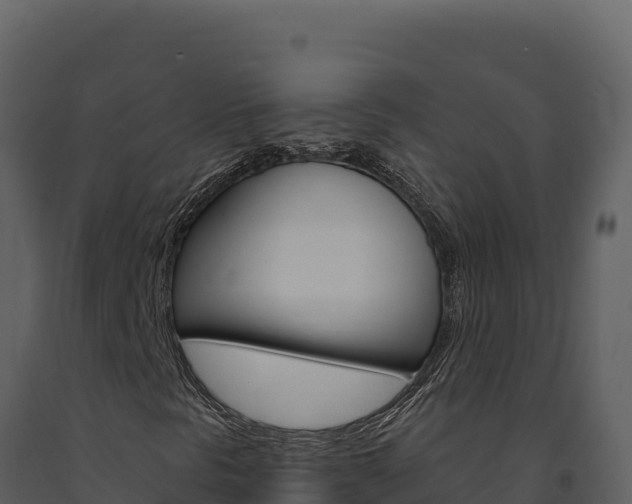 X0000091731297200708241034