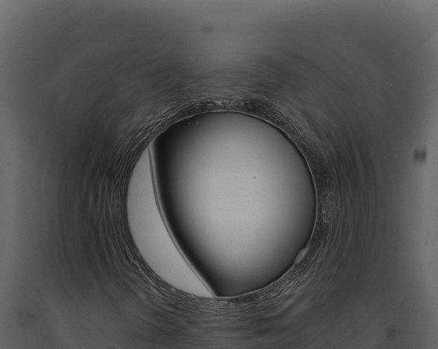 X0000091731298200708241034