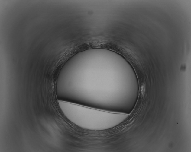 X0000091731299200708241034