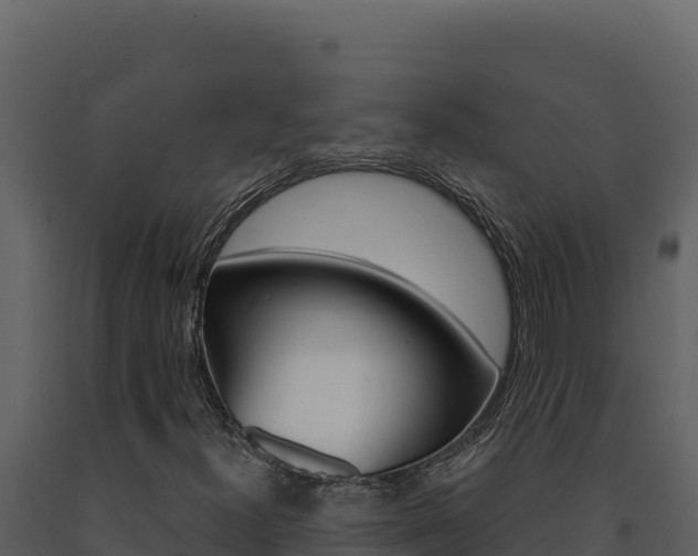X0000091731300200708241034