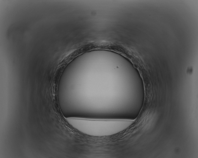 X0000091731301200708241034