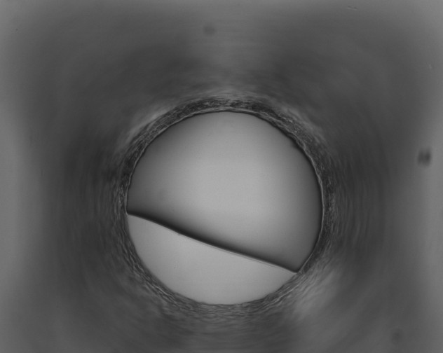 X0000091731302200708241034