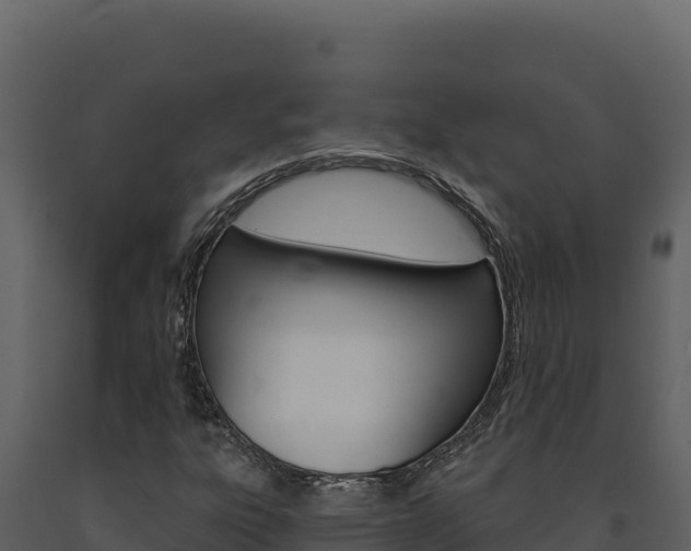 X0000091731303200708241034