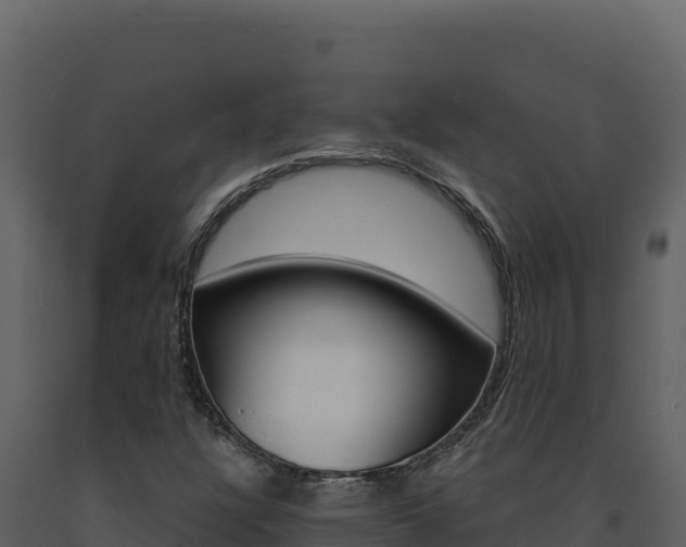 X0000091731304200708241034