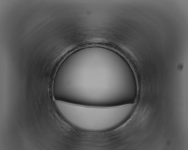 X0000091731305200708241034