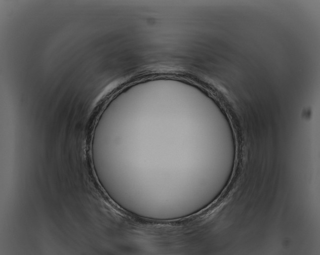 X0000091731306200708241034