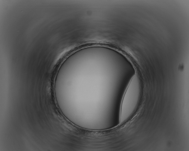 X0000091731307200708241034